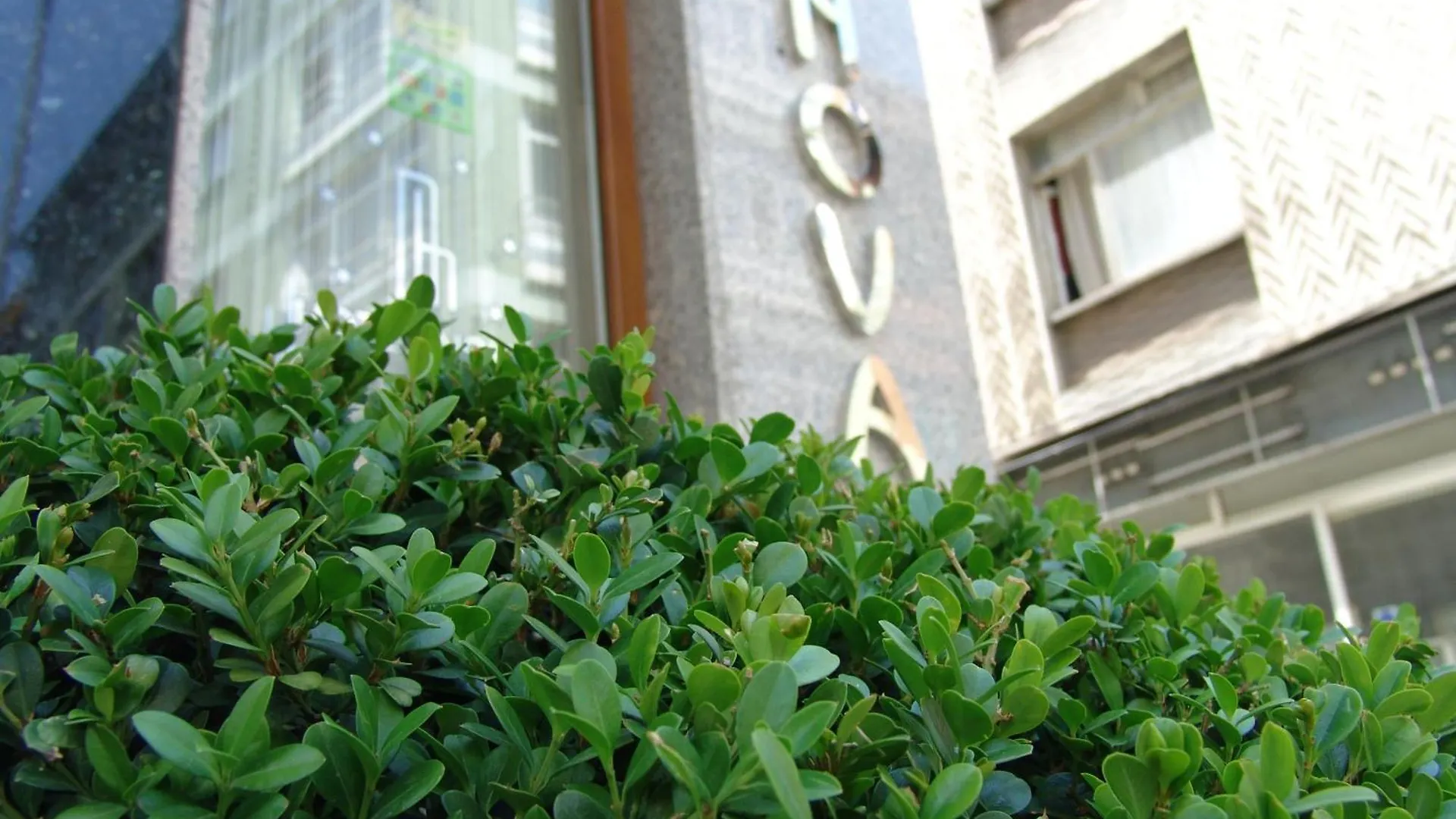 Hotel Nova Istanbulská provincie 5*,  Turecko